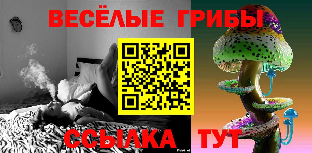 Псилоцибиновые грибы Psilocybe  Галлюциногенные грибы Magic Shrooms  Балашиха  Вход с VPN 